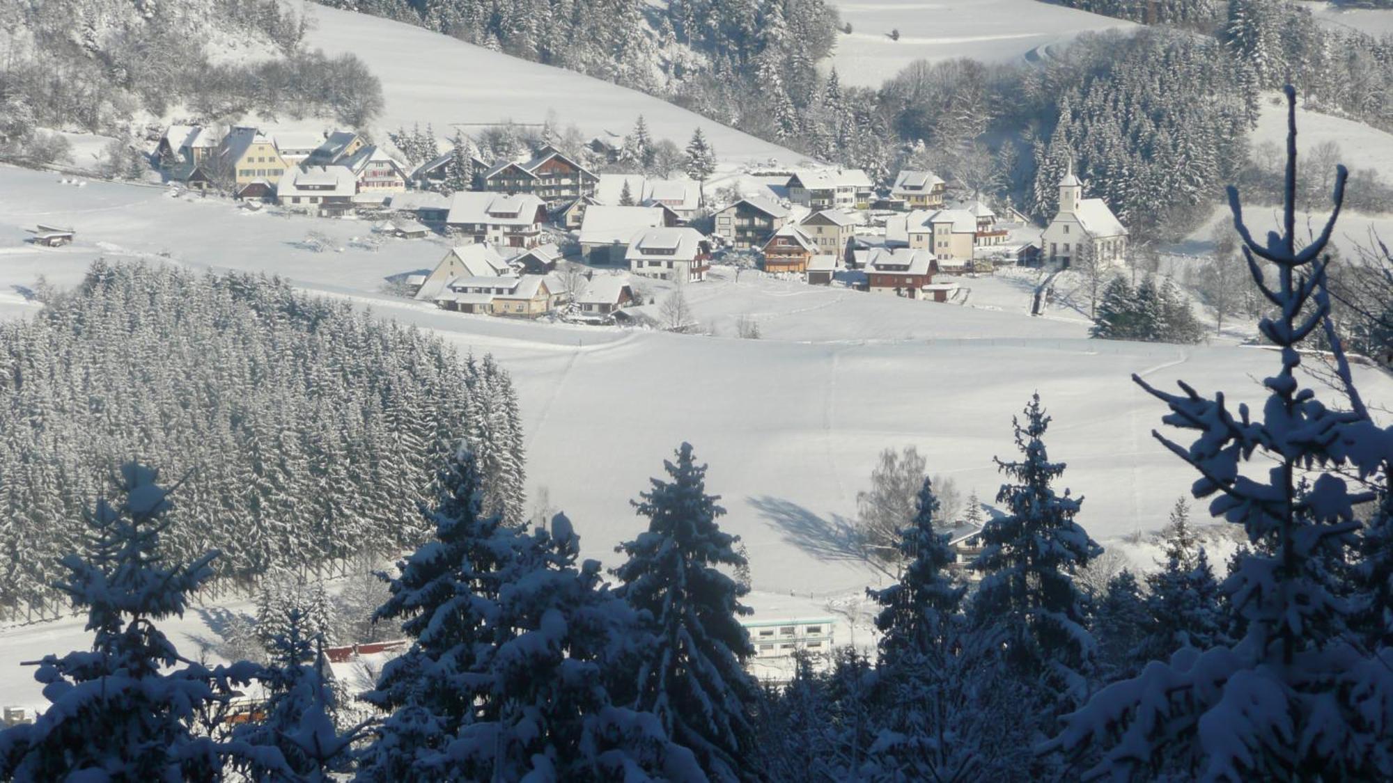 Sackmanns Wanderhotel Löwen Baiersbronn Exterior foto