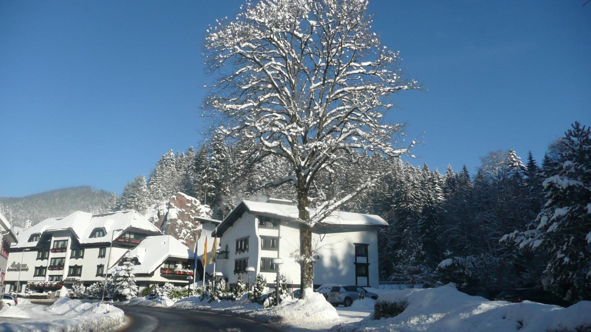 Sackmanns Wanderhotel Löwen Baiersbronn Exterior foto